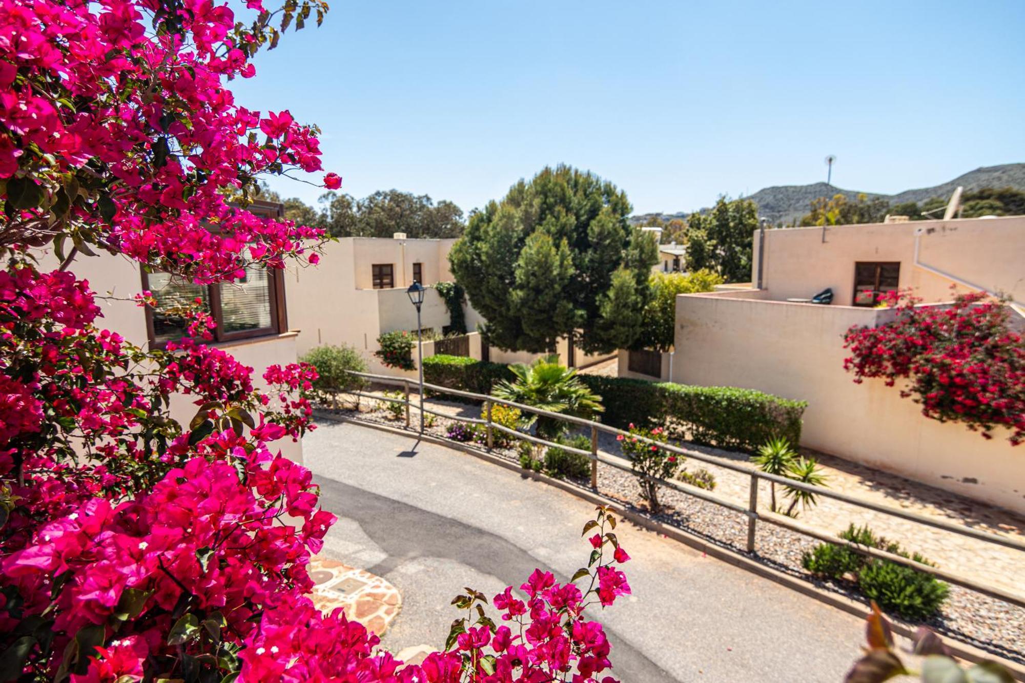 El Velero Sotillo La Jarana Piscina Parking Wifi 圣何塞 外观 照片